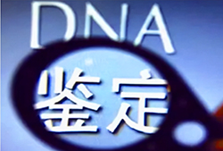 哈尔滨血缘检测多少天能出结果，哈尔滨匿名亲子鉴定需要的材料