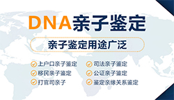 哈尔滨大医院能做亲子鉴定吗，医院做DNA鉴定办理的流程