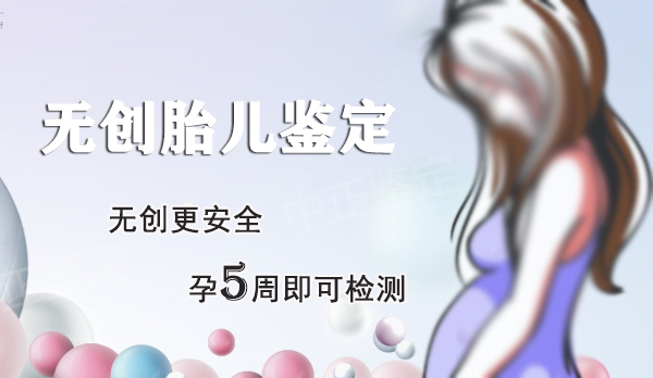 哈尔滨胎儿如何做DNA亲子鉴定,哈尔滨无创孕期亲子鉴定多少钱 哈尔滨胎儿如何做DNA亲子鉴定,哈尔滨无创孕期亲子鉴定多少钱