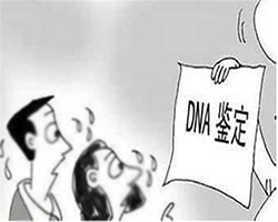 哈尔滨司法亲子鉴定需要多少钱