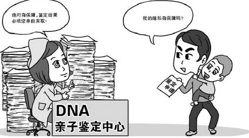 哈尔滨血缘检测多少天能出结果,哈尔滨匿名亲子鉴定需要的材料